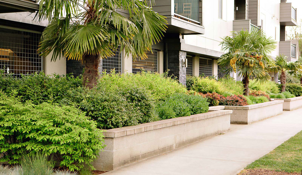 Campus Lofts, Eugene, Oregon | DLA Design