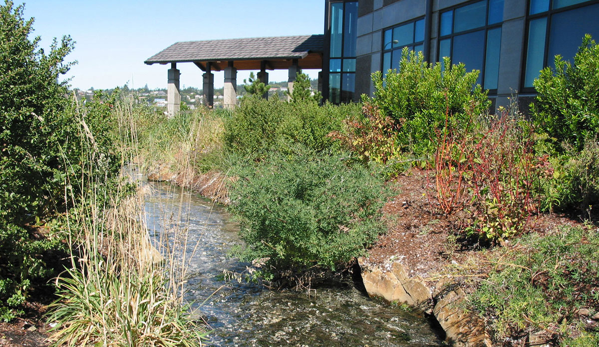 Hatfield Marine Science Center | DLA Design