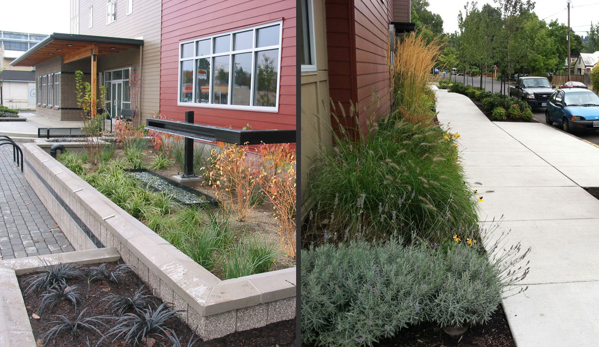 Lamb Building | Dougherty Landscape Architects