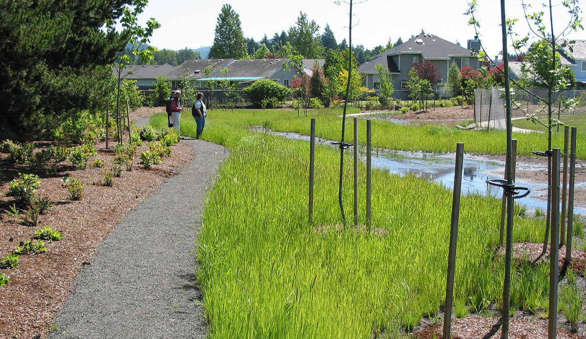 Mt.Vernon Park, Springfield, Oregon | DLA Design