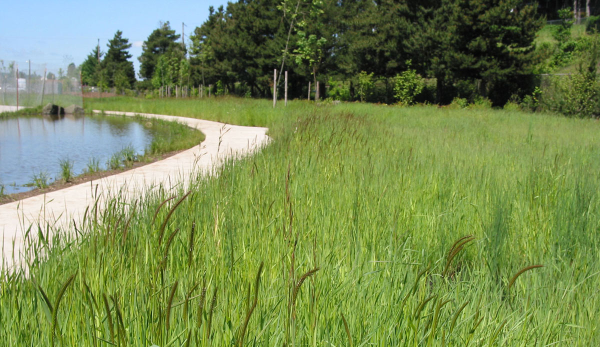 Mt.Vernon Park, Springfield, Oregon | DLA Design