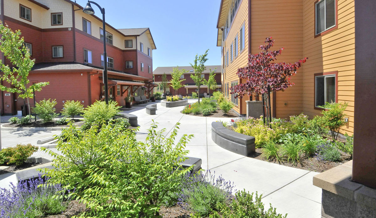 Roosevelt Crossing | Dougherty Landscape Architects