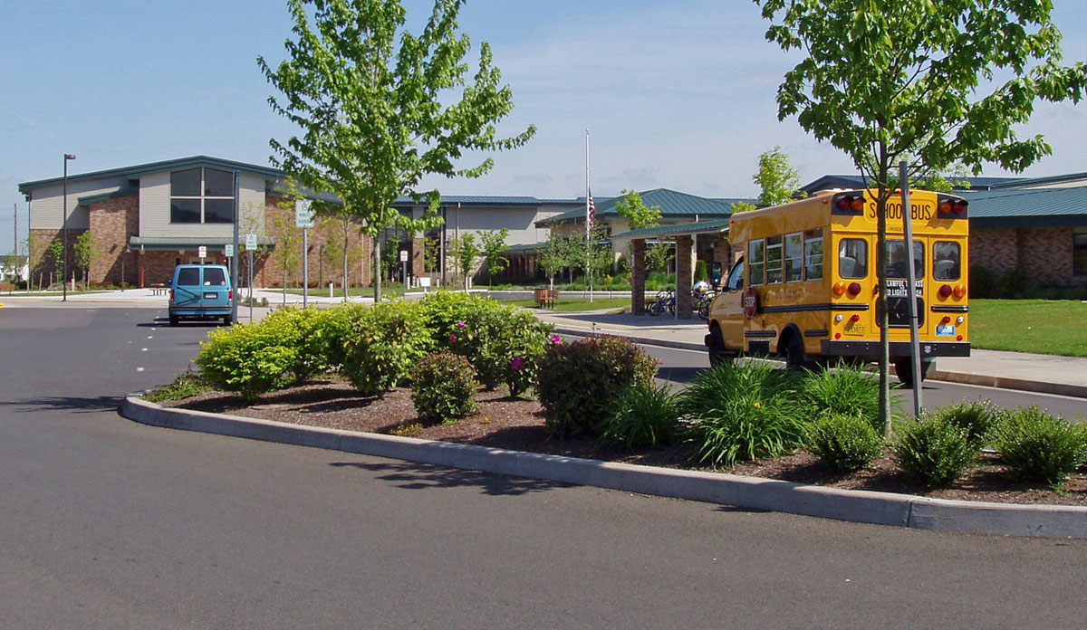 Meadow View School | DLA Design